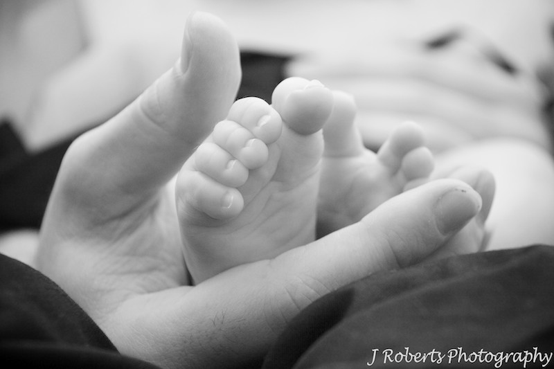 B&W of baby feet in dad's hands - baby portrait photography sydney